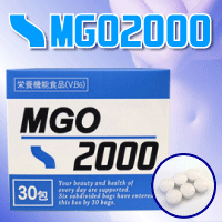 ＭＧＯ２０００